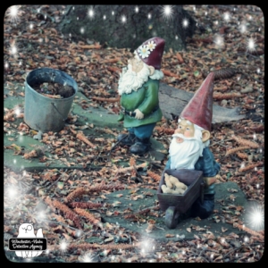 garden gnomes