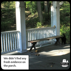 Gus on porch