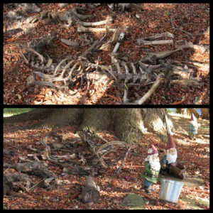 collage of Jersey devil-deer murder case bones