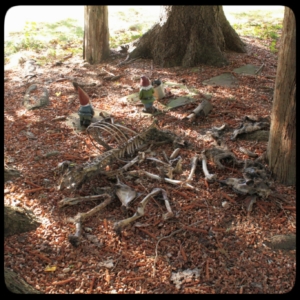 Jersey devil-deer murder case bones