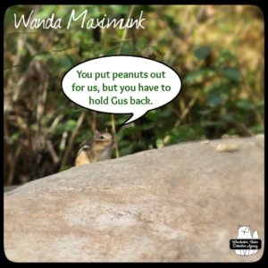 Wanda Maximunk chipmunk