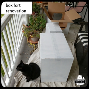 cat box fort