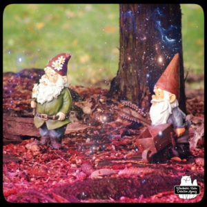 Gnomes