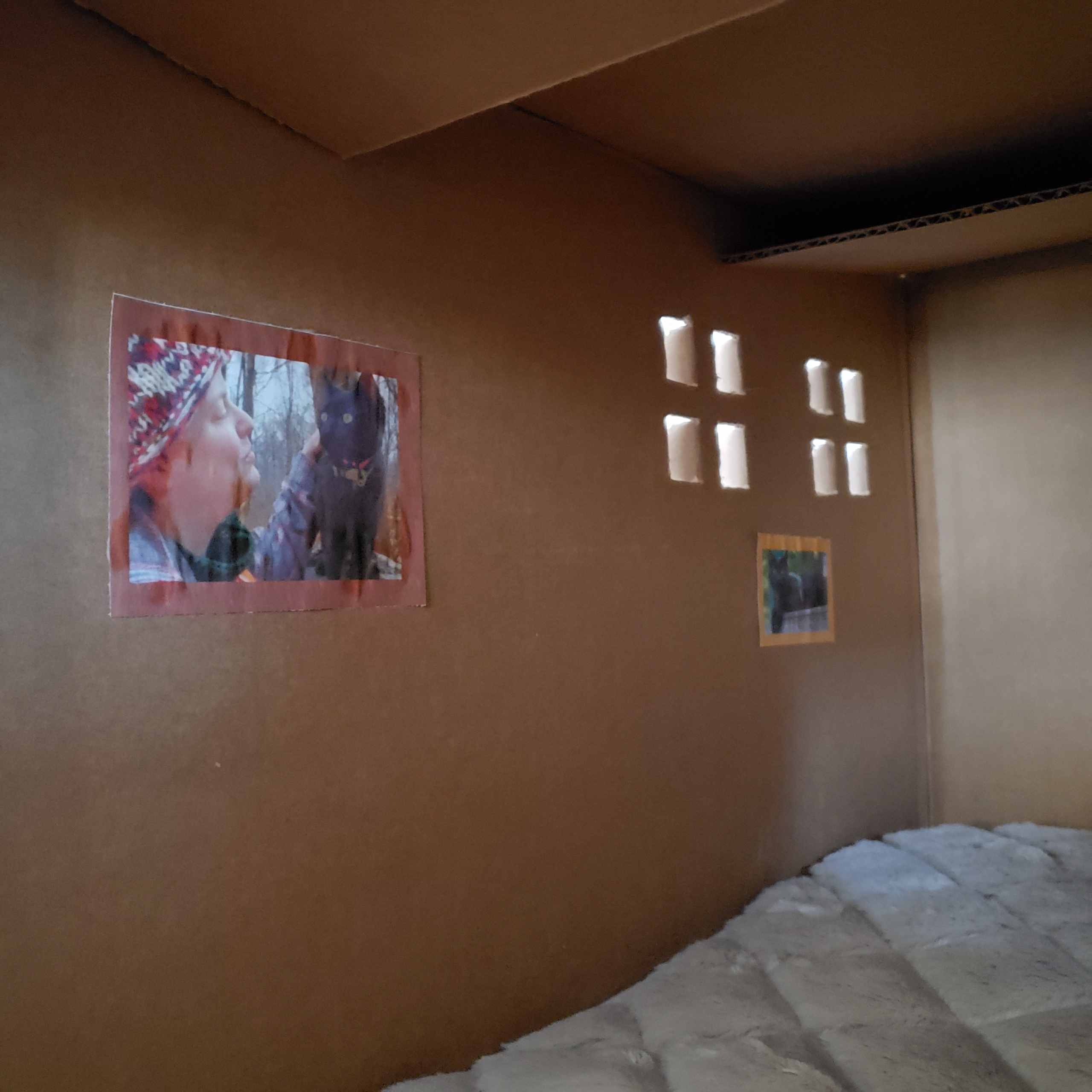 20211106_catboxfort (3)