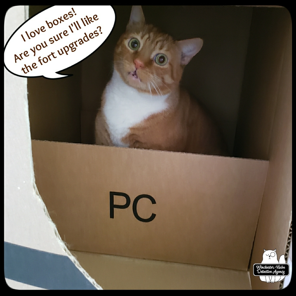 20211122_catboxfort_wm (1)