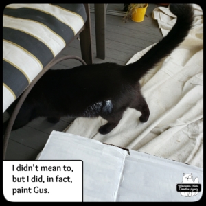 Gus got painted.