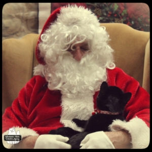 Gus and Santa 2021