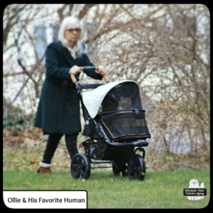 Oliver in buggy with Cook