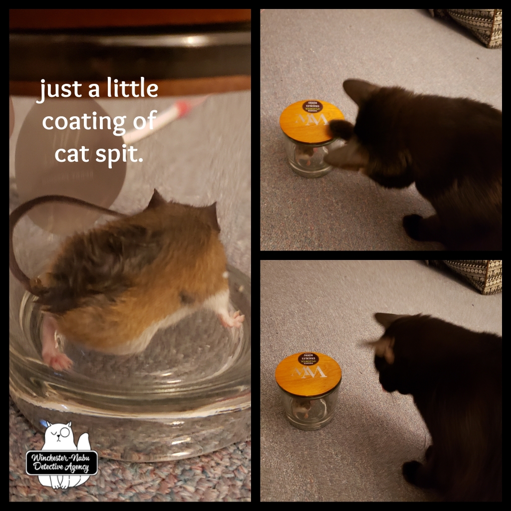 20211122 first mouse_wm