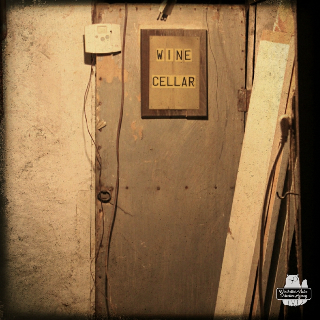 creepycellar-MissingGus_wm (1)