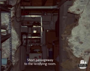 cellar