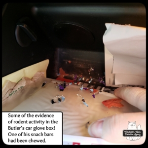 glove box evidence