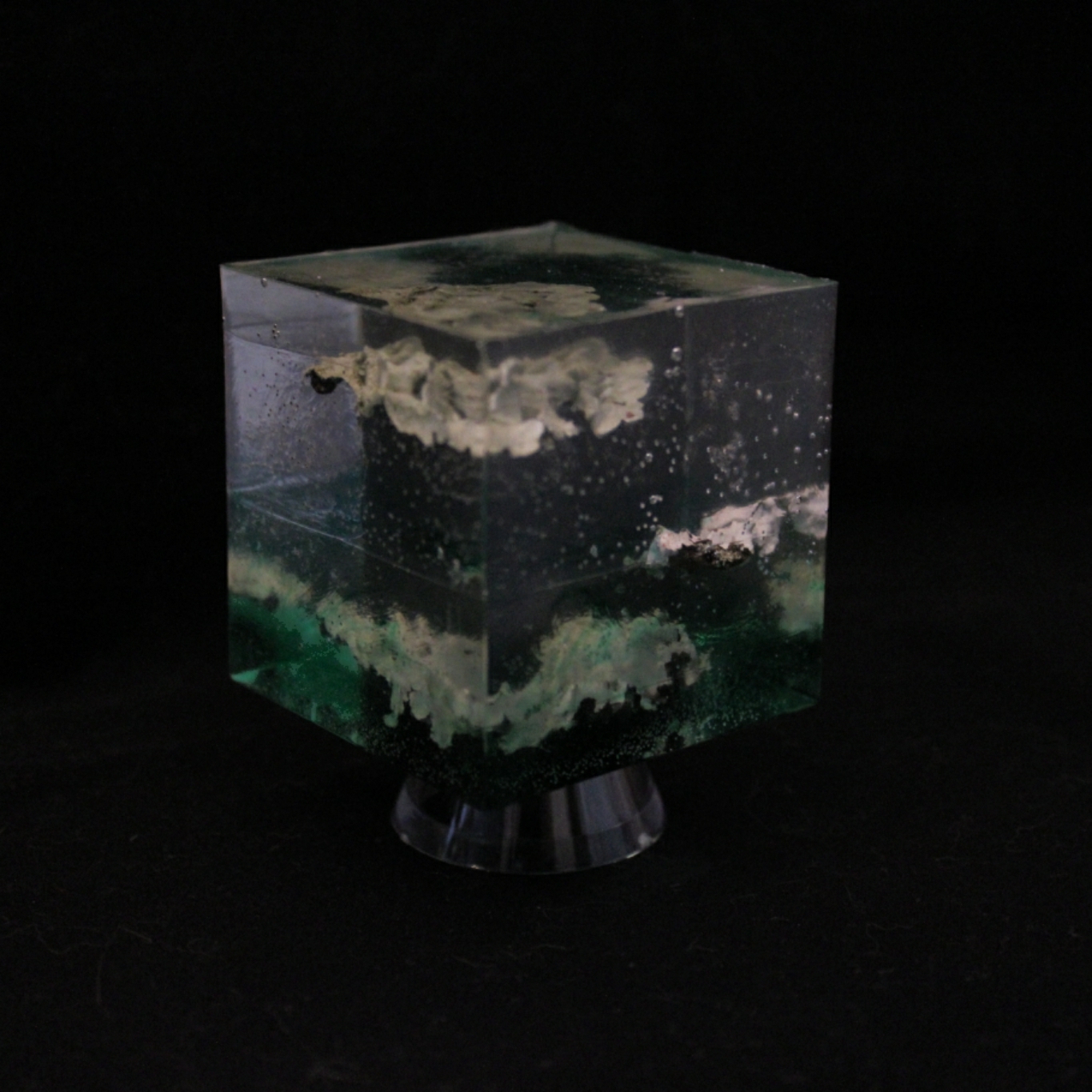 lichen cube (2)