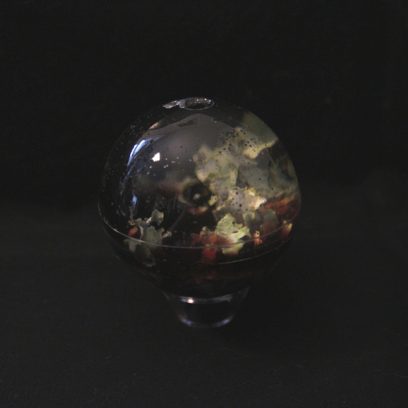 lichen sphere (5)