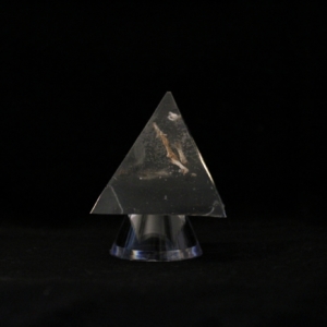 owl pellet bones in resin pyramid