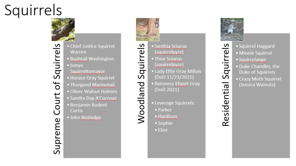 squirrels org chart