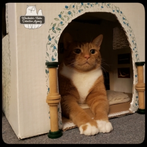 Oliver in his office