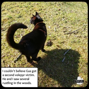 Gus standing over vole