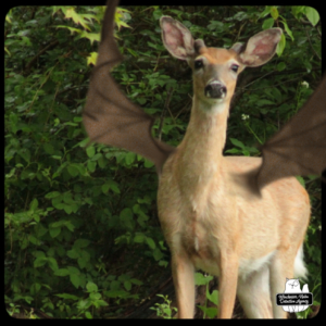 buck devil deer on trail close up