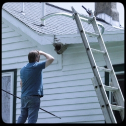 Dave scraping hornet nest off