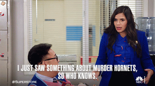 Superstore gif Amy