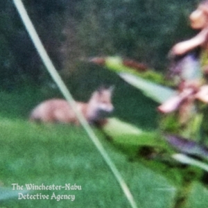 blurry red fox