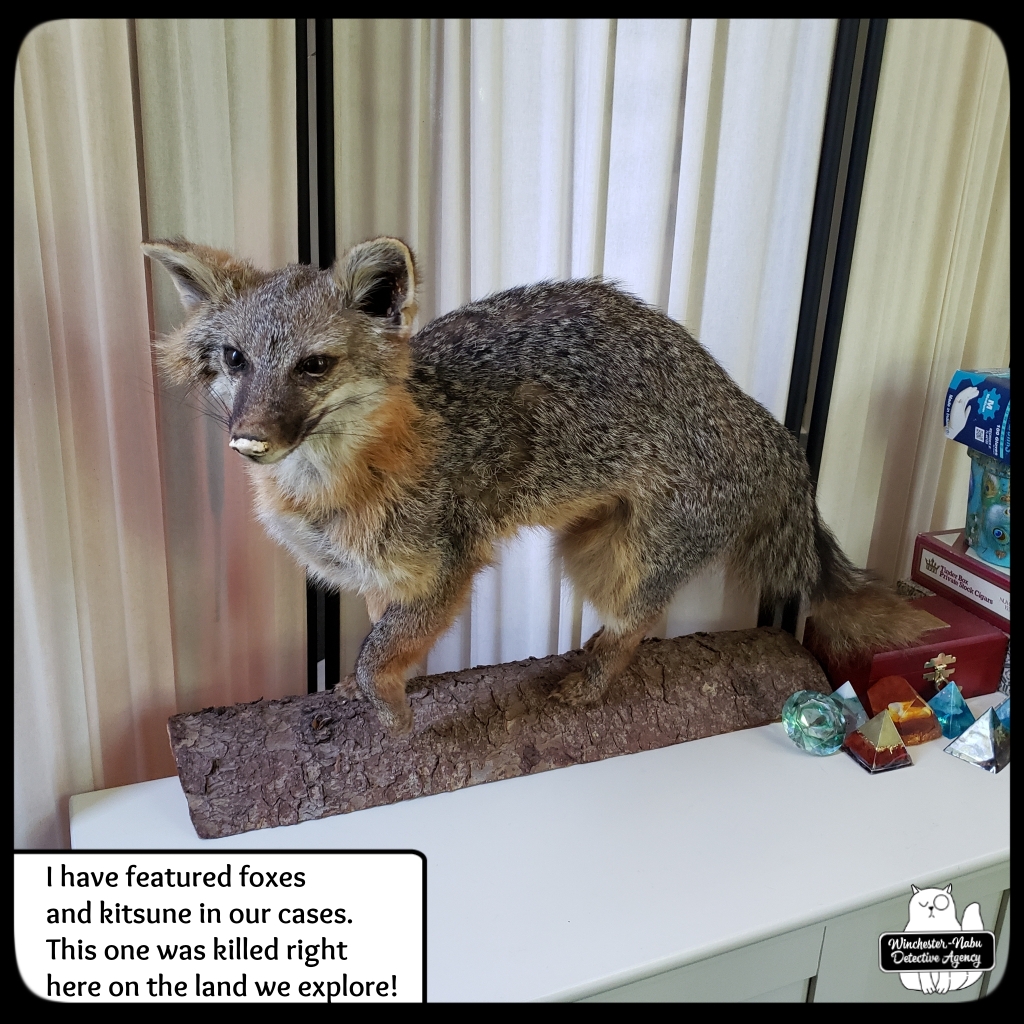 new fox friend taxidermy (3)