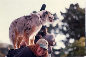 Australian shepherd on woman's back doing tricks