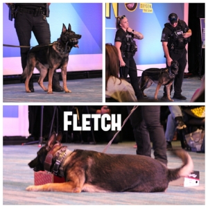 crime con collage of K9 demo: Fletch the dog; Fletch between his handler Liz and another officer; Fletch after choosing the box with "explosives"