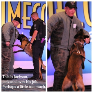 crime con collage of K9 demo: officer in padded suit getting attacked by Jackson, who loves his job