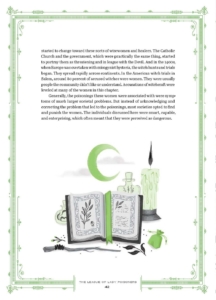 professional poisoners continued; under text is a notebook with green bookmark, green candle, green bottle, green sachet, green crescent moon