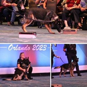 crime con collage of K9 demo: (top) Fletch sniffing boxes for bomb ingredients; (bottom left) Fletch sitting nicely in the arms of his police handler Liz; (bottom right) Fletch standing next to another officer