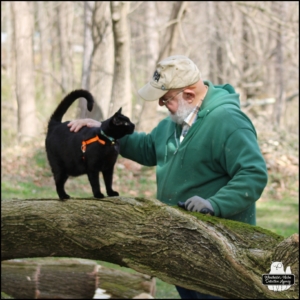 black cat Gus standing on a chopped down tree next to The Grumpy Old Man who is actually smiling while petting his little pal.