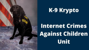 Not present at this demonstration, black lab (wearing a badge and vest) Krypto, who specializes in internet crimes against children using training in electronic detection. (image from Aurora government page)