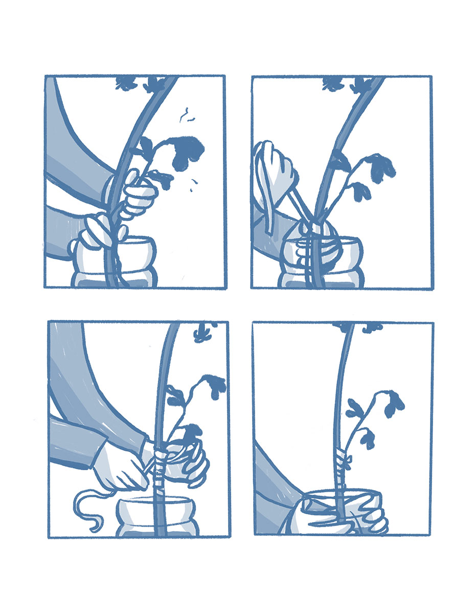 Rose-Wolves-2-Interior-Sample-01