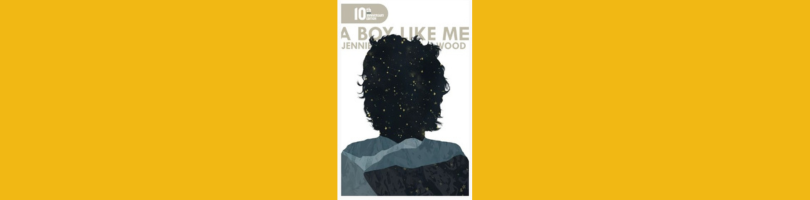 A Boy Like Me 10th Anniversary edition of the book cover, novel by Jennie Wood, white background, silhouette of a head filled with stars and a shirt that's like a collage of blue paper
