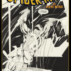 The Amazing Spider-Man by Steve Ditko Artist’s Edition Cover by Steve Ditko
