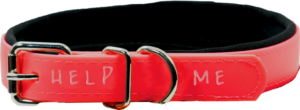 edited Adobe Express stock image of a pet collar to be red with HELP ME carved into it.